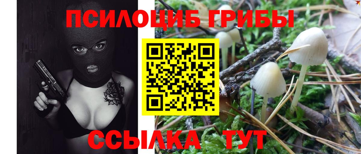 Заводоуковск  Псилоцибиновые грибы мицелий  наркотики  Вход с VPN  Псилоцибиновые грибы прущие грибы 